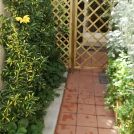 Casa Sara